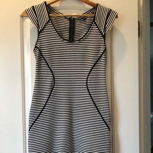 Express zipper back dress